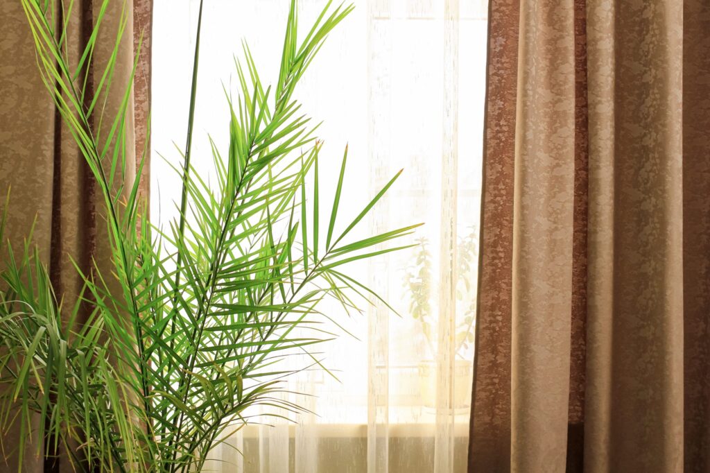 Window Treatment Styles: A Complete Guide for Your Home